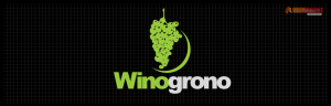 Logo firmy 008 - na ciemnym tle - Winogrono