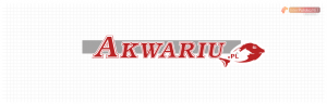 Logo firmy 021 - inny układ - Akwariu.pl