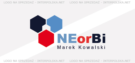 Projekt logo - NEorBI