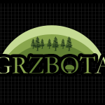 Logo firmy 104 - na ciemnym tle - Grzbota